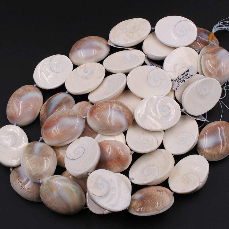 Large Shiva Eye Shell Beads Domed Oval Focal Pendant 16" Strand