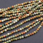 Natural Rainforest Rhyolite Jasper 2mm Round Beads 16" Strand