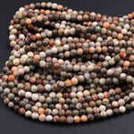 Natural Mushroom Jasper Rhyolite Round Beads 4mm 6mm 8mm 10mm 12mm 16" Strand