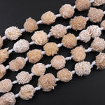 Natural Selenite Desert Rose Beads Raw Organic Freeform Druzy Gemstone 16" Strand