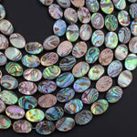 Natural Abalone 14x10mm Flat Oval Beads Iridescent Rainbow Glow Blue Green Red Pink 16" Strand