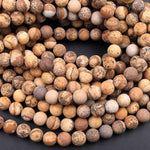 Matte Picture Jasper 4mm 6mm 8mm 10mm 12mm Round Beads Desert Jasper Earthy Yellow Brown Jasper 16" Strand