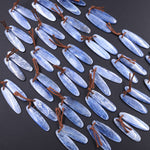 Drilled Natural Blue Kyanite Earring Pair Long Oval Cabochon Cab Matched Gemstone Bead Pair