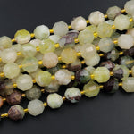 AAA Natural Snake Skin Jade 10mm Beads Faceted Energy Prism Double Terminated Point Cut 15.5&quot; Strand