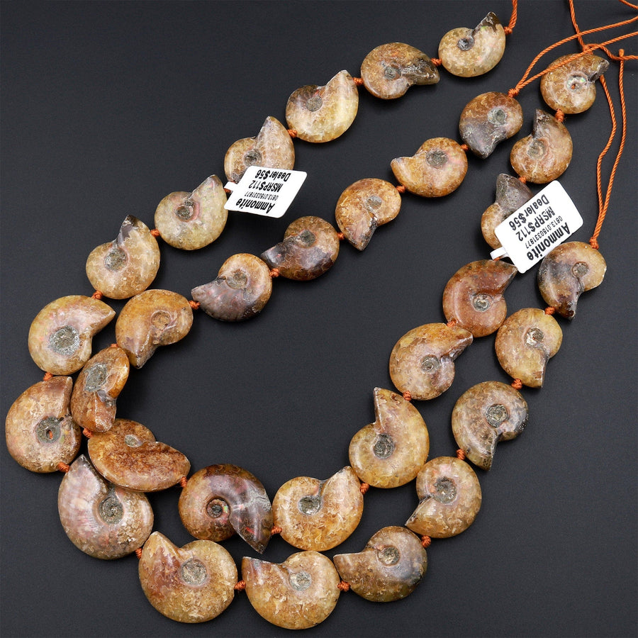 Drilled Natural Baby Yellow Ammonite Fossil Beads Vertically Drilled Small Whole Ammonite Fossil Pendant Focal Bead 16&quot; Strand