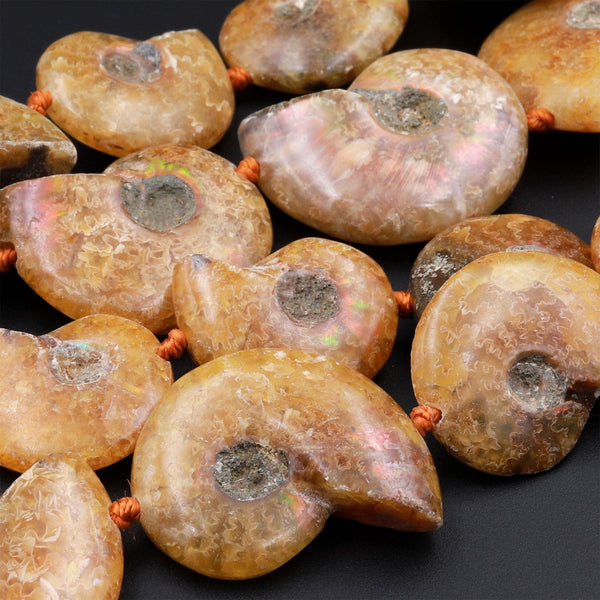 Drilled Natural Baby Yellow Ammonite Fossil Beads Vertically Drilled Small Whole Ammonite Fossil Pendant Focal Bead 16&quot; Strand