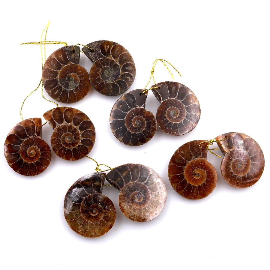 AAA Natural Sliced Ammonite Fossil Earring Pair Cabochon Side Drilled Matched Gemstone Beads