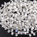 Faceted Natural Rainbow Moonstone Teardrop Briolette Beads 15.5&quot; Strand
