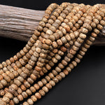 Natural Daemonorops Margaritae Rondelle Beads 6mm 8mm 10mm &quot;Star and Moon&quot; Bodhi Seed Prayer Beads Meditation Mala Making 15.5&quot; Strand