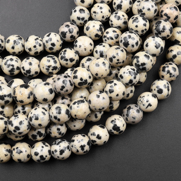 Large Hole Beads 2.5mm Drill Natural Dalmatian Jasper 8mm 10mm Round Beads 8&quot; Strand