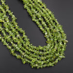 Natural Green Peridot Freeform Chip Pebble Nugget Beads Gemstone 15.5" Strand