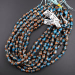 Impression Jasper Teardrop Beads Aka Copper Turquoise Jasper Vertically Drilled 15.5&quot; Strand