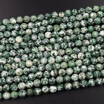 Faceted Natural Green Tree Agate 4mm 6mm 8mm Round Beads 15.5" Strand