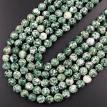Faceted Natural Green Tree Agate 4mm 6mm 8mm Round Beads 15.5" Strand