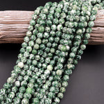 Faceted Natural Green Tree Agate 4mm 6mm 8mm Round Beads 15.5" Strand