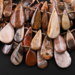Natural Petrified Wood Teardrop Beads Top Side Drilled Pendant Focal Earthy Brown Tan Beige Taupe 15.5" Strand