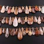 Natural Petrified Wood Teardrop Beads Top Side Drilled Pendant Focal Earthy Brown Tan Beige Taupe 15.5" Strand
