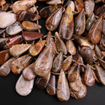 Natural Petrified Wood Teardrop Beads Top Side Drilled Pendant Focal Earthy Brown Tan Beige Taupe 15.5" Strand