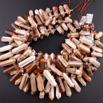 Petrified Wood Beads Double Terminated Points Top Side Drilled Large Gemstone Focal Pendant 15.5" Strand