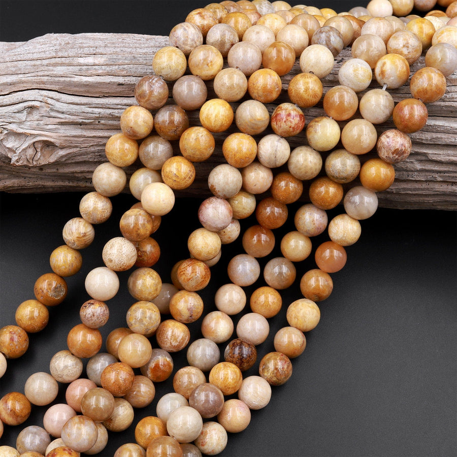 Natural Fossil Coral Round Beads 4mm 6mm 8mm 10mm Vibrant Red Orange Brown Tan Beige Beads 15.5" Strand