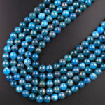Natural Teal Blue Apatite 4mm 6mm 8mm 10mm Smooth Round Beads 15.5" Strand