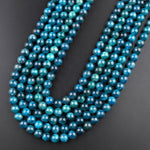 Natural Teal Green Apatite 4mm 6mm 8mm 10mm Smooth Round Beads 15.5" Strand