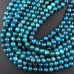 Natural Teal Green Apatite 4mm 6mm 8mm 10mm Smooth Round Beads 15.5" Strand