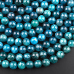 Natural Teal Green Apatite 4mm 6mm 8mm 10mm Smooth Round Beads 15.5" Strand