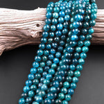 Natural Teal Green Apatite 4mm 6mm 8mm 10mm Smooth Round Beads 15.5" Strand