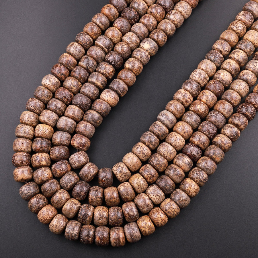 Natural Brown Daemonorops Margaritae Rondelle Beads 12mm "Star and Moon" Bodhi Seed Prayer Beads Meditation Mala Making 15.5" Strand
