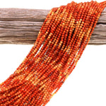 AAA Faceted Natural Golden Orange Red Fossil Coral 3mm Round Beads Multicolor Color Gemstone 15.5" Strand