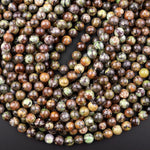 Natural Australian Green Opal 6mm 8mm 10mm Round Beads 15.5" Strand