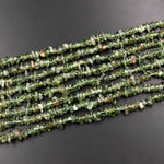 Natural Green Apatite Freeform Chip Pebble Nugget Beads Gemstone 15.5" Strand