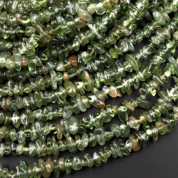 Natural Green Apatite Freeform Chip Pebble Nugget Beads Gemstone 15.5" Strand