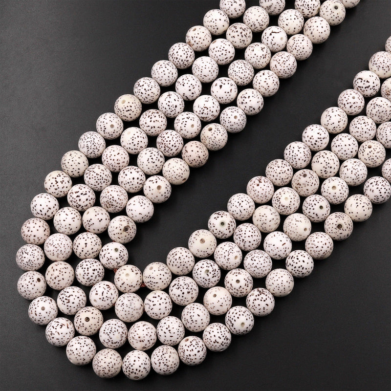 Natural Daemonorops Margaritae Round Beads 6mm 8mm 10mm Star and