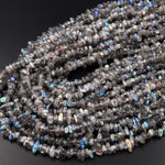 Natural Labradorite Green Blue Flashes Freeform Chip Pebble Nugget Beads Gemstone 15.5" Strand