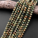 Natural Verdite Jungle Jasper 6mm 8mm 10mm Round Beads Earthy Forest Green Golden Brown Gemstone 15.5" Strand