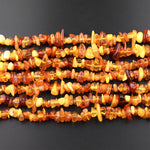 Real Genuine Natural Baltic Amber Beads Golden Yellow Amber Freeform Chip 15.5" Strand