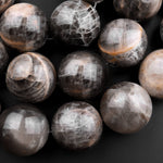 Large 25mm Natural Black Moonstone Round Beads 15.5" Strand