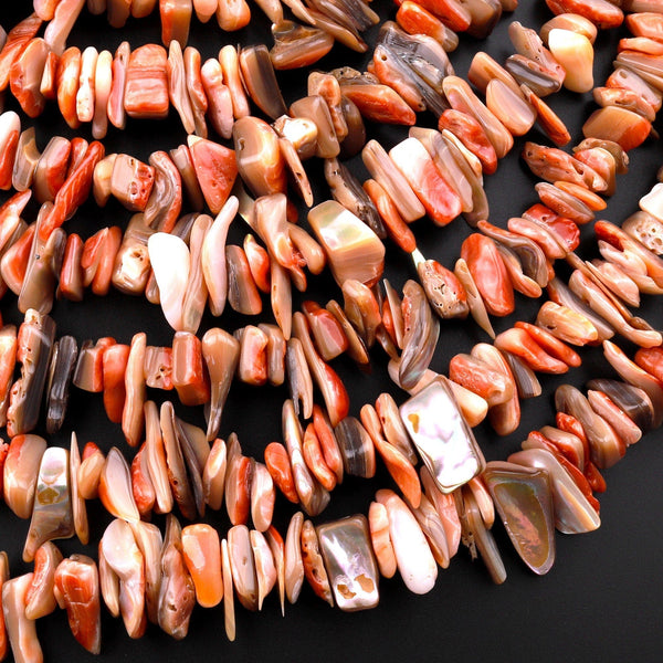 Large Natural Orange Abalone Freeform Long Chip Beads Iridescent Rainbow Glow 15.5" Strand