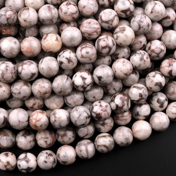Natural Fossil Crinoid Round Beads 6mm 8mm 10mm 12mm Earthy Gray Beige Slate Gemstone 15.5" Strand