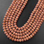 Genuine Real Natural Rudraksha Seed Beads 8mm Rondelle Prayer Beads Mala Making 15.5" Strand