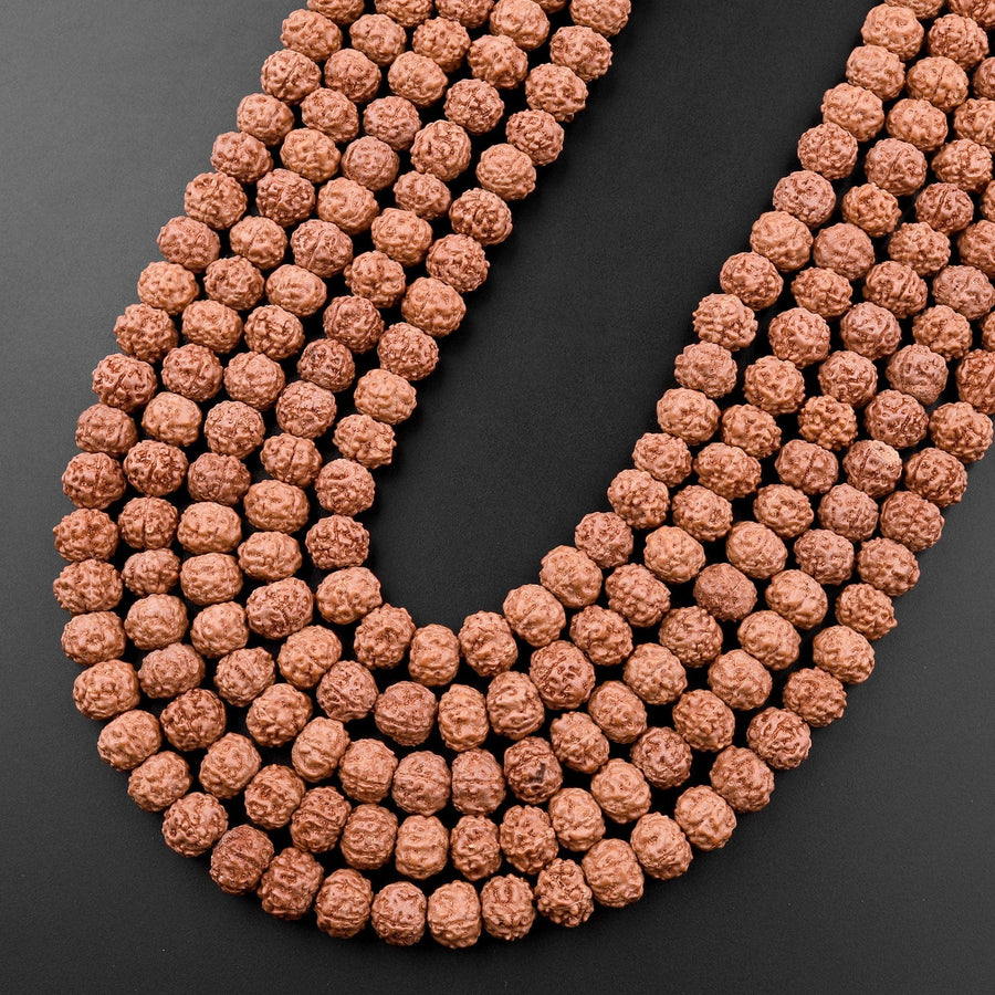 Genuine Real Natural Rudraksha Seed Beads 8mm Rondelle Prayer Beads Mala Making 15.5" Strand