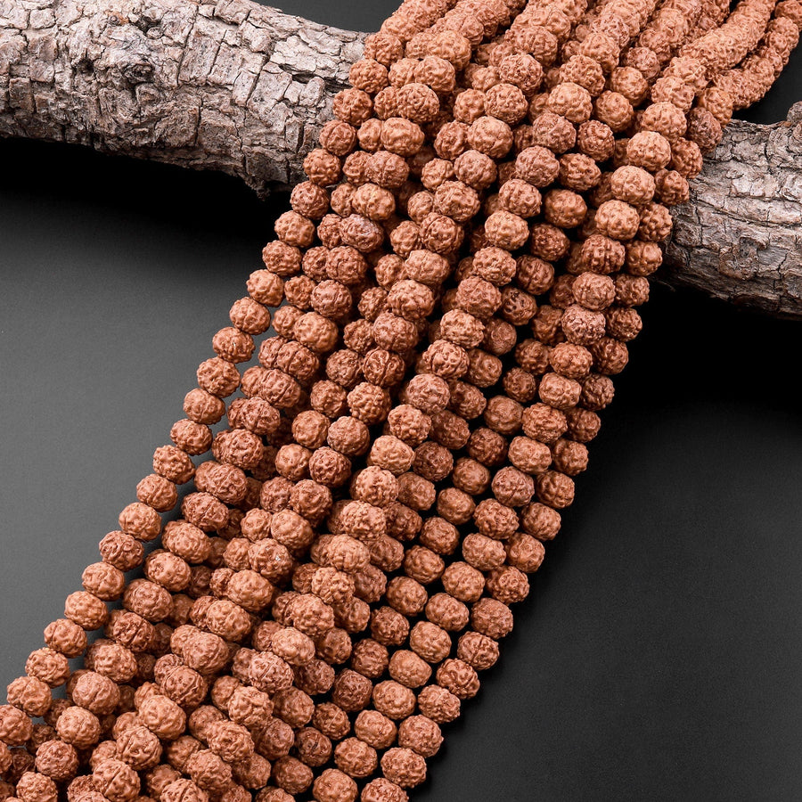 Genuine Real Natural Rudraksha Seed Beads 8mm Rondelle Prayer Beads Mala Making 15.5" Strand