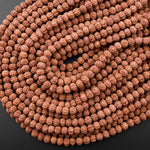 Genuine Real Natural Rudraksha Seed Beads 8mm Rondelle Prayer Beads Mala Making 15.5" Strand