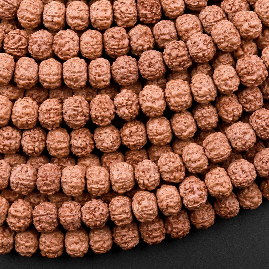 Genuine Real Natural Rudraksha Seed Beads 8mm Rondelle Prayer Beads Mala Making 15.5" Strand