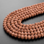 Genuine Real Natural Rudraksha Seed Beads 8mm Rondelle Prayer Beads Mala Making 15.5" Strand