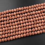 Genuine Real Natural Rudraksha Seed Beads 8mm Rondelle Prayer Beads Mala Making 15.5" Strand