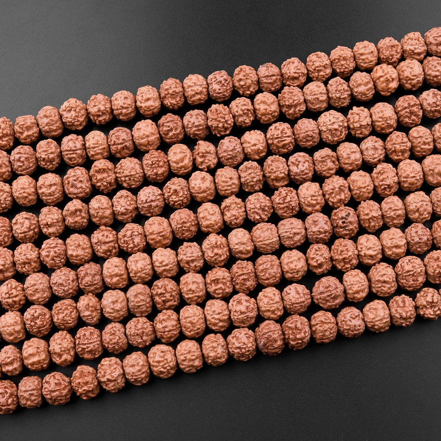 Genuine Real Natural Rudraksha Seed Beads 8mm Rondelle Prayer Beads Mala Making 15.5" Strand