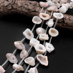 Natural Agate Druzy Drusy Geode Beads Nuggets Freeform Sparkling Natural Crystal Gemstone 15.5" Strand